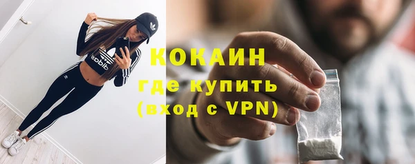 тгк Алзамай