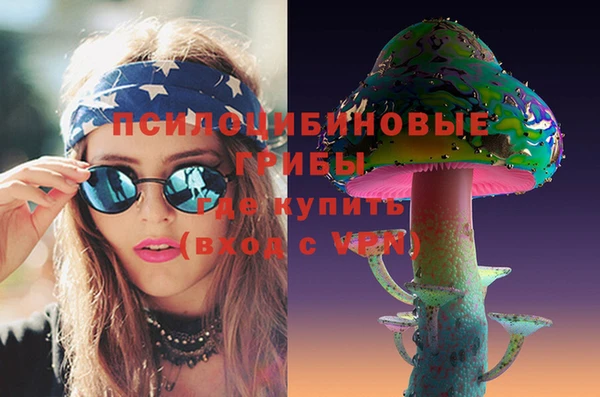 тгк Алзамай