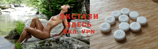 тгк Алзамай